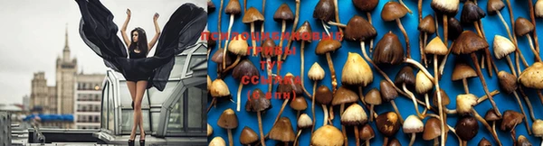 mix Пересвет